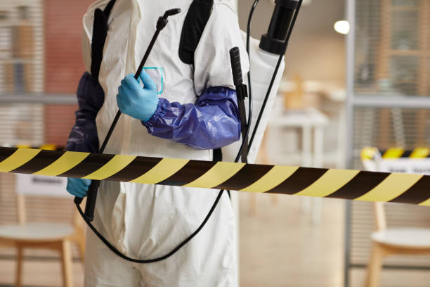 Professional Sewage Cleanup technician working in Clermont, FL